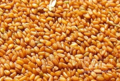 فروش خاکشیر (گیاه‌ دارویی)