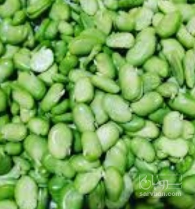 فروش باقلا تازه - باقالی - باقالا