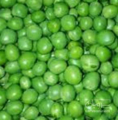 فروش نخود فرنگی