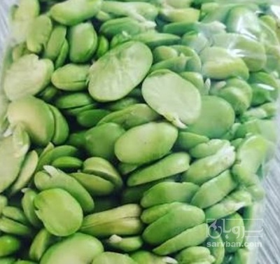 فروش باقلا تازه - باقالی - باقالا