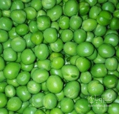 فروش نخود فرنگی