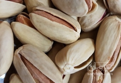 فروش پسته خندون درختی اکبری