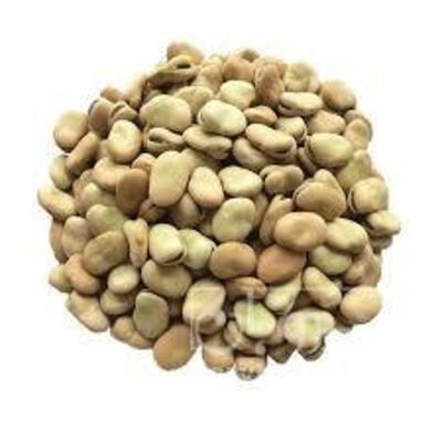 فروش باقلا خشک