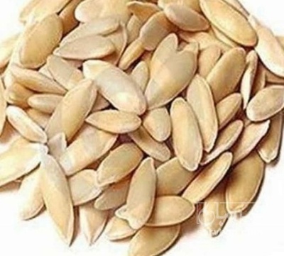 فروش بذر خربزه