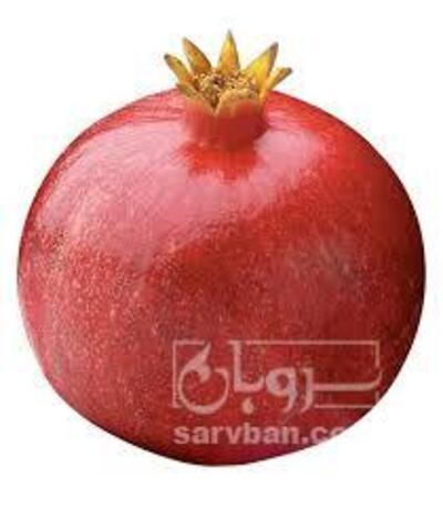 فروش انار