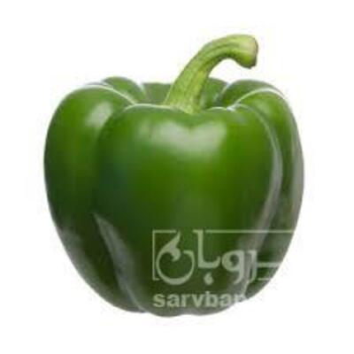 فروش فلفل دلمه ای