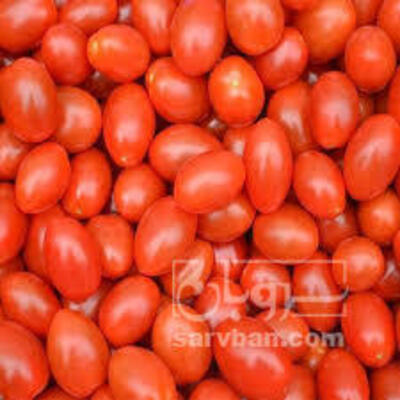 فروش گوجه فرنگی