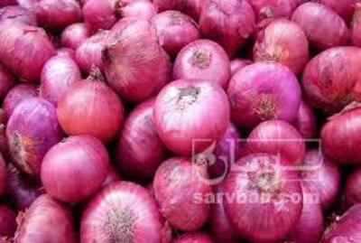 فروش پیازقرمز