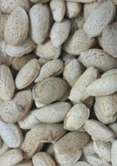 فروش بادام