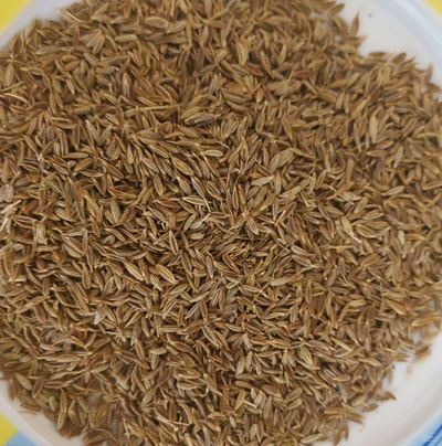 فروش زیره (گیاه‌ دارویی)