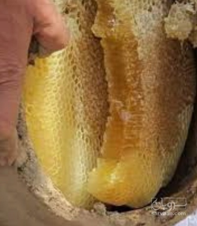 فروش عسل کوزه