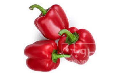فروش فلفل دلمه ای