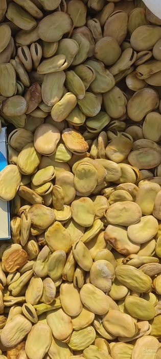 فروش باقلاخشک