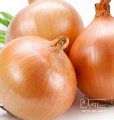 فروش پیاز زرد