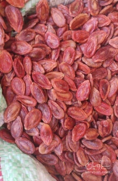 فروش تخمه ژاپنی بو داده