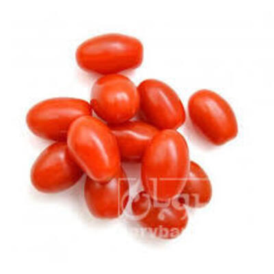 فروش گوجه فرنگی زیتونی