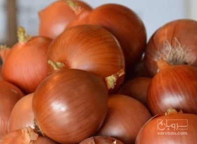 فروش پیاز زرد