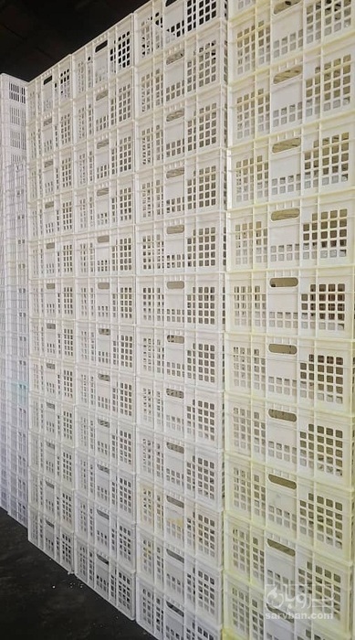 فروش سبد نشا گوجه فرنگی