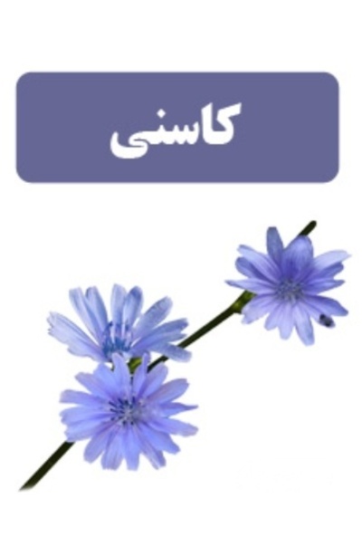 فروش عرق کاسنی