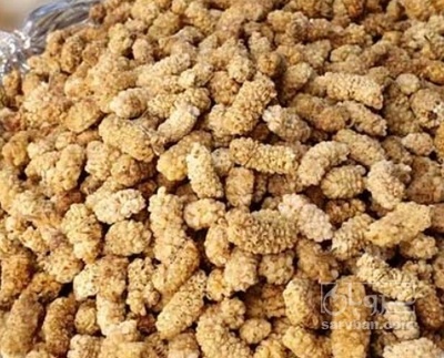 فروش توت خشک