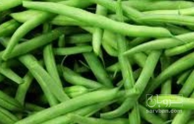 فروش لوبیا سبز