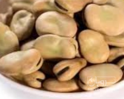 فروش باقلا تازه - باقالی - باقالا