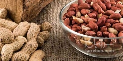 فروش بادام زمینی