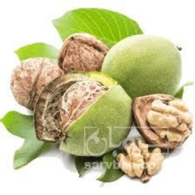 فروش گردو