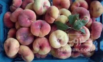 فروش هلوانجیری