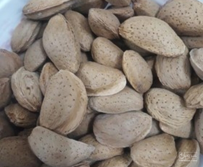 فروش بادام