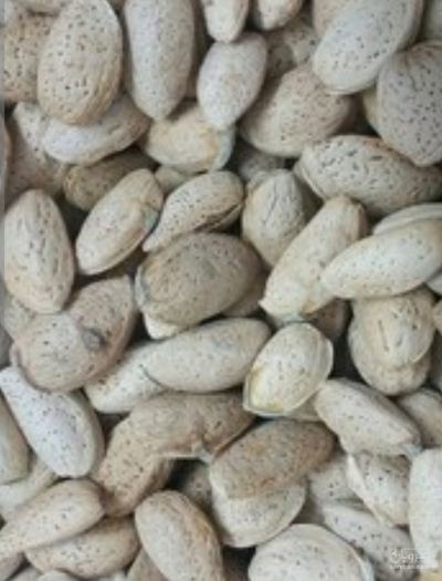 فروش بادام