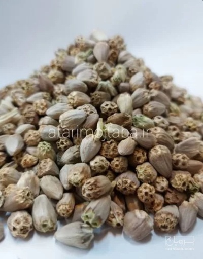 فروش کنگر کوهی (گیاه‌ دارویی)