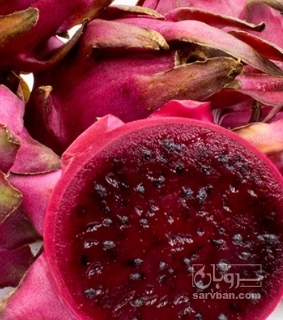 فروش میوه کاکتوس (دراگون فروت)