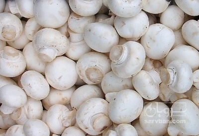 فروش قارچ دکمه ای