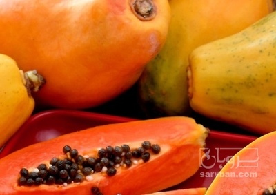 فروش پاپایا