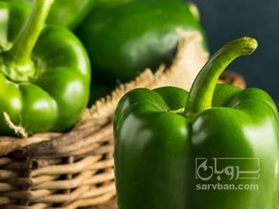 فروش فلفل دلمه ای