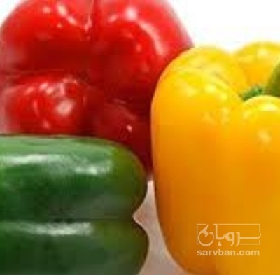 فروش فلفل دلمه ای