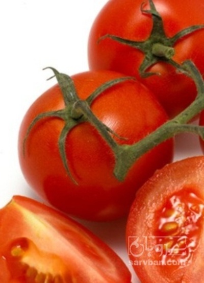 فروش گوجه فرنگی