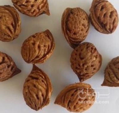 فروش هسته هلو نمدار