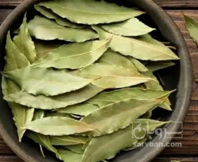 فروش برگ بو (گیاه‌ دارویی)