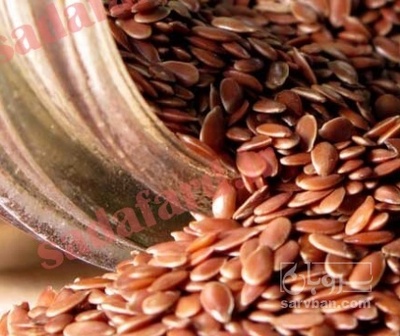 فروش  تخم کتان (گیاه الیافی)