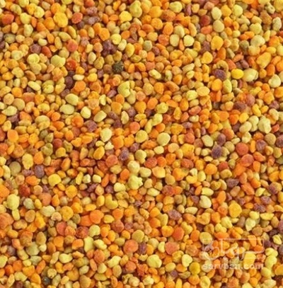 فروش گرده گل