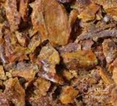 فروش موم و بره موم