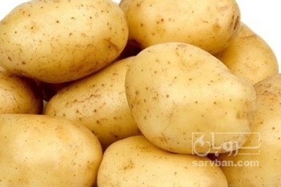 فروش سیب زمینی اگریا