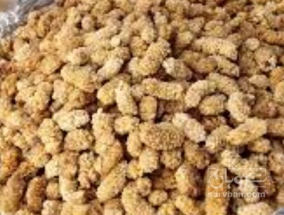 فروش توت خشک