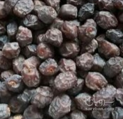 فروش خرما گنتار