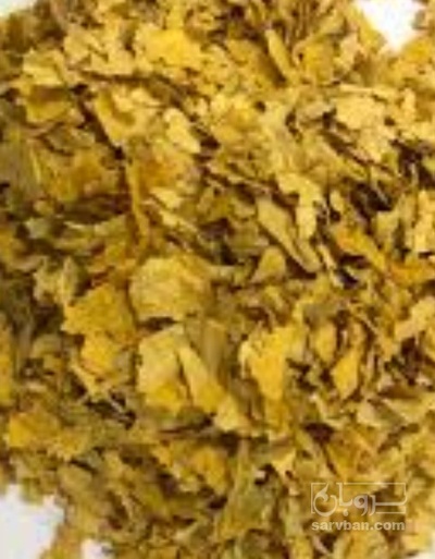 فروش تنباکو کوهی (گیاه‌ دارویی)