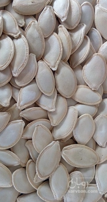 فروش تخمه  کدو بو داده