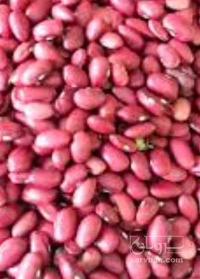 فروش لوبیا قرمز