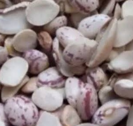 فروش لوبیا چیتی لپه